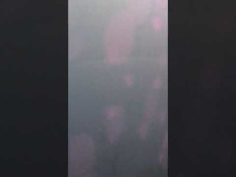 180930 Fromis_9 KCON Thailand 2018 Jiwon Special Stage