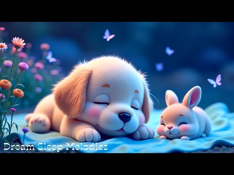 Без реклама – Клавир дубоког сна за смиривање депресије, ублажавање стреса и улазак у мирна стања ум