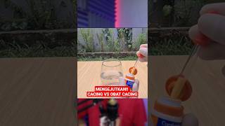 Download lagu CACinG DIBEri Obat Cacing!! TerNYATA Malah Gini Bahaya!! Nasya Kaila Pun Terkejut borong Latto mp3