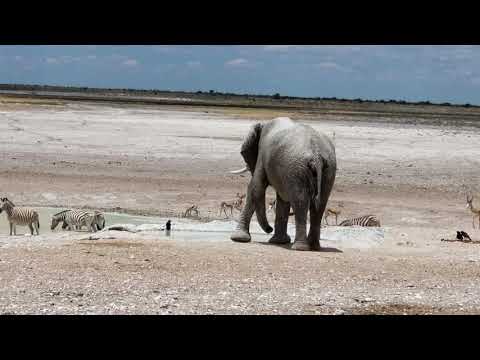 Etosha Waterhole