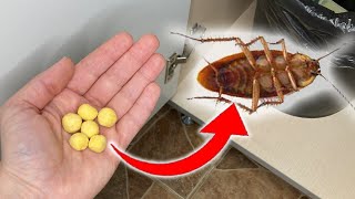 How to Get Rid of Cockroaches - Simple Trick! Cockroaches will no longer return to your home