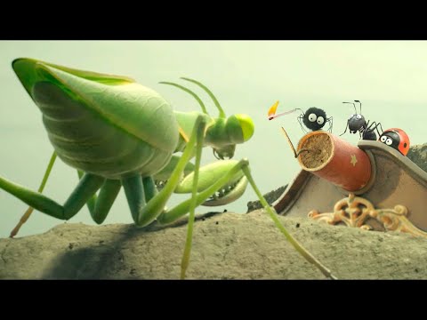 A pók egy gyufát és egy petárdát használ fegyverként a sáska elleni harcban!