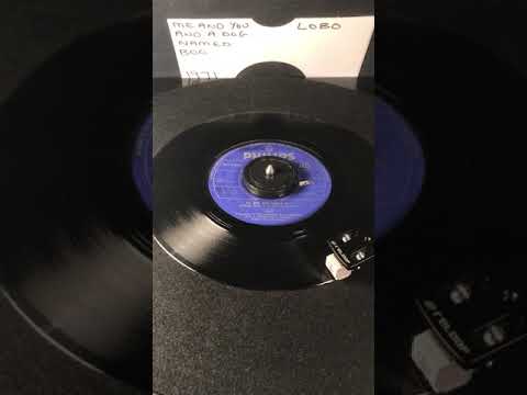 Lobo -  Me And You And A Dog Named Boo ( Vinyl 45 ) From 1971 .