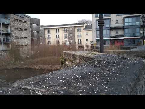 Snow with Nokia 8.3 5G slowmotion Camera Quality. #nokia #mobile #snow #ireland #europe