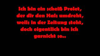 Fler - Wie ich wirklich bin x3Lyrics