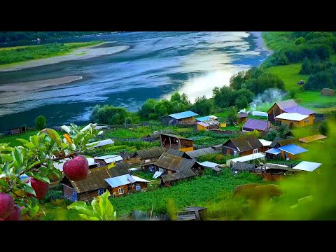 DESA DI RUSIA :  APEL DAN PIR TUMBUH LIAR 