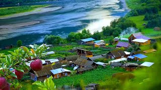 Download lagu DESA DI RUSIA :  APEL DAN PIR TUMBUH LIAR  mp3