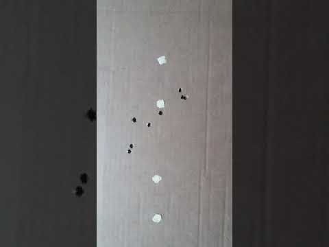 9 февраля 2020 г.