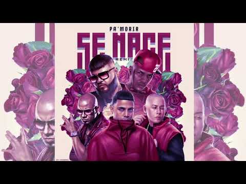Pa Morir Se Nace (Remix )- Farruko ❌ Pacho ❌ Juanka  ❌ Cosculluela ❌ Wisin