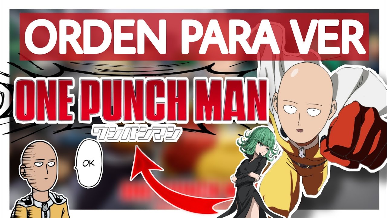 ORDEN PARA VER ONE PUNCH MAN