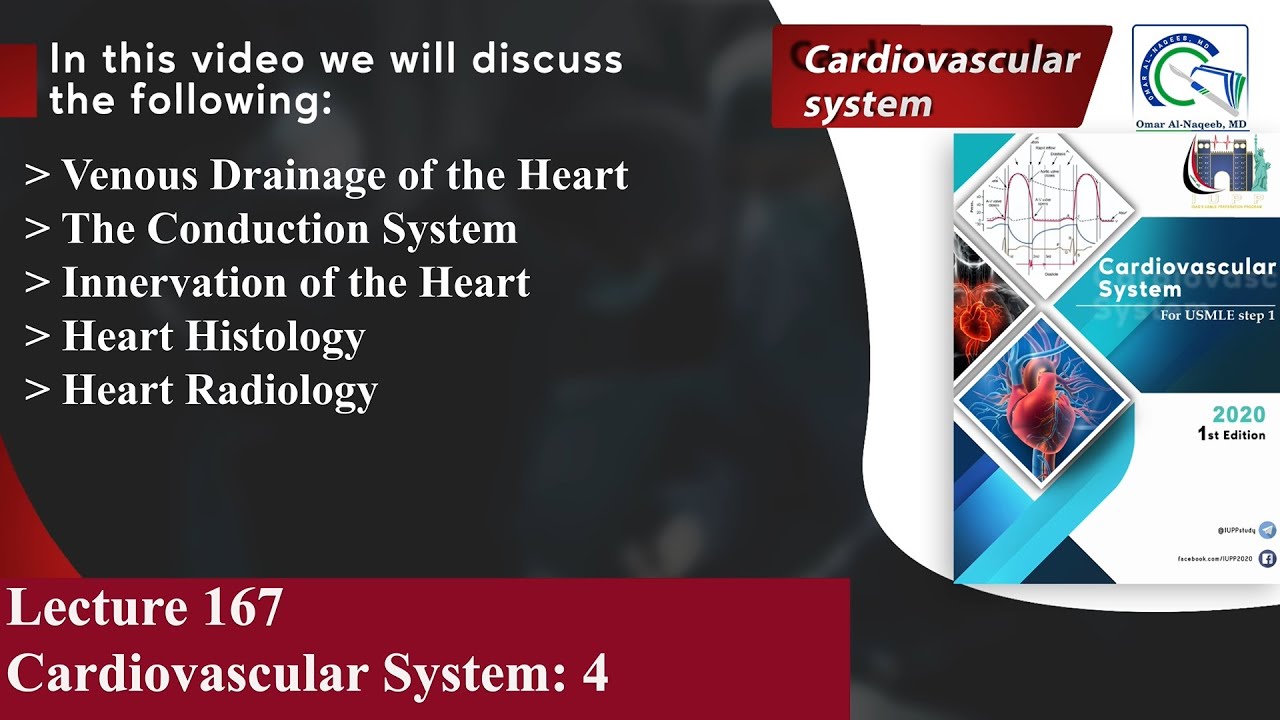 Venous Drainage of the Heart | The Conduction System | Innervation of the Heart | Heart Histology