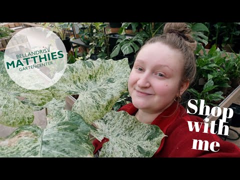 PLANTS Shop with me | Follow me around at BELLANDRIS MATTHIES 🪴