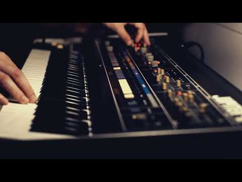 The Roland Jupiter 6 | A series of random performances