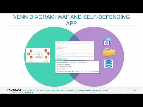 What the WAF Understanding and augmenting what the WAF cannot see