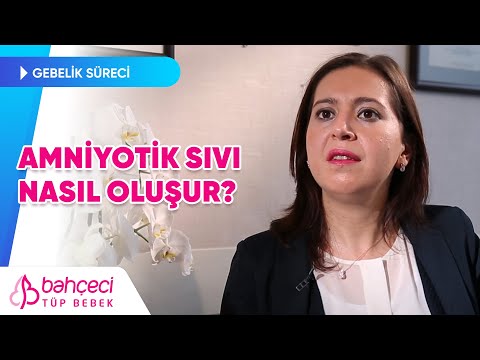 Amniyotik Sıvı Nasıl Oluşur, Gebeliği Nasıl Etkiler?