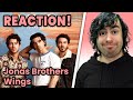 Jonas Brothers Wings Official Music Video REACTION
