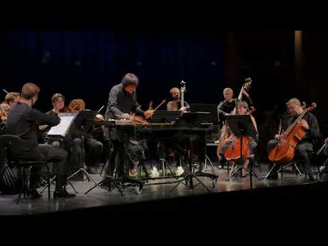 W. A. Mozart/A. Pushkarev - "Rondo alla Turca" (encore): Andrei Pushkarev & Kremerata Baltica