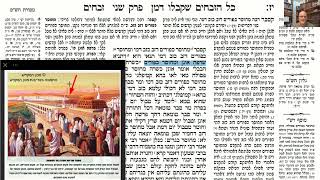 דף יומי מסכת זבחים דף יז Daf yomi Masechet Zevachim page 17  ע"י יוני גוטמן (שיעורי הדף היומי ב-20 דקות – מועבר ע"י ר' יוני גוטמן – לעילוי נשמת אביו ר' אלימלך צבי (צביקה) גוטמן ז"ל) - התמונה מוצגת ישירות מתוך אתר האינטרנט יוטיוב. זכויות היוצרים בתמונה שייכות ליוצרה. קישור קרדיט למקור התוכן נמצא בתוך דף הסרטון