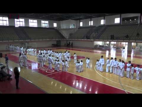 Seminario ed esami di TAEKWONDO I.T.F. del 24.02.2013