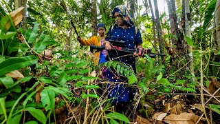 Download lagu Kehidupan di kampung dayak berpetualang di hutan belantara, mencari ikan di pondok sungai mp3