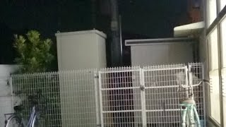 車載配信 男二人の雑談