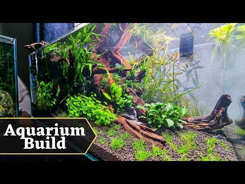 Shallow tank tutorial (part 2) - Planting