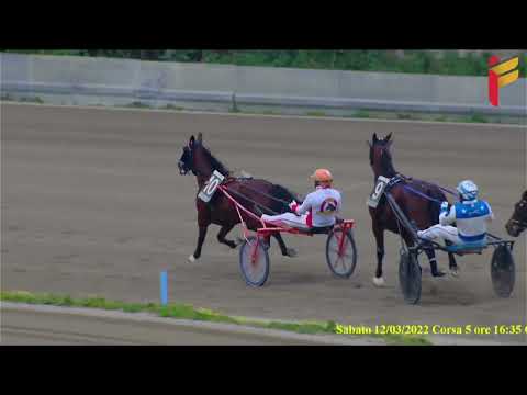 V Corsa del 12 Marzo 2022 - Road To Trinacria - 4 Anni - Metri 2000/20/40