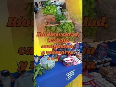Feria de semillas Gral. San Martin - Chaco