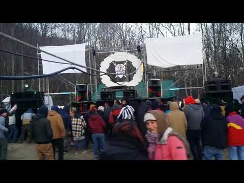 Brainless Monkeys: Live freeparty