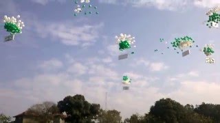 Pine Hall School Video