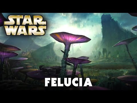 Planet: FELUCIA (Canon) - Star Wars Explained