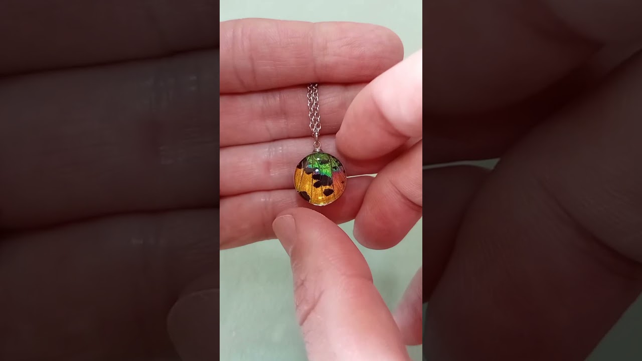 Collana artigianale da 16mm con ala di falena Urania ripheus sotto lente in vetro che mostra intensa iridescenza arcobaleno