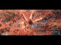 MOVIES 2013 CD 2 ACTIONS MOVIES TRAILERS ONLY