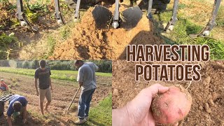 How To Harvest Potatoes & Have a Little Family Time!