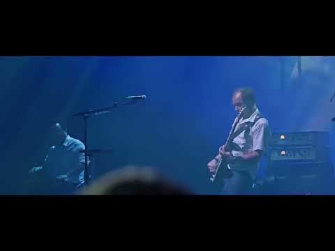 Foxgear Knee Trembler Guy Pratt Signature