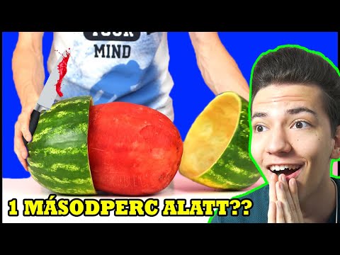EZ HOGY LEHETSÉGES!? 😱 | A VILÁG LEGGYORSABB MUNKÁSAI 6. RÉSZ!