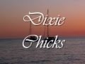 Dixie Chicks-Easy Silence.