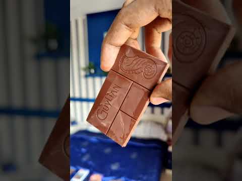 Guylian Premium Dark Chocolate