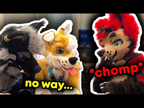 STOP EATING THE LEGOS | (Weekly Furry Stream Highlights #15)