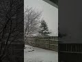 Winter Snow Pella Iowa Huge Snowflakes January 2022
