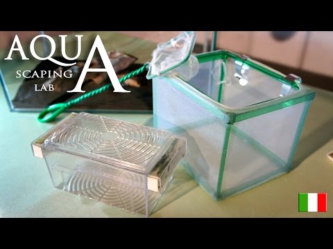 Aquascaping Lab - Allevamento avannotti e tipologie di nursery (sala parto e nursey esterna)