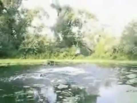 Televisão Interactiva   Ruben Pires   Comunicação Social 2º ano