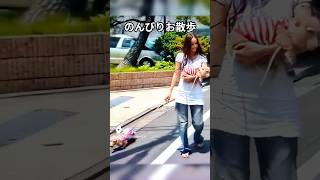 安室奈美恵・愛犬と散歩できる幸せ