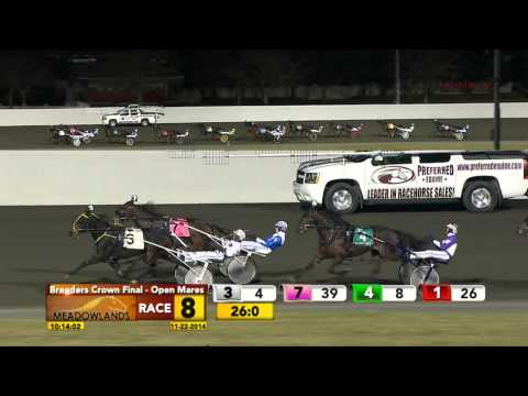 Breeders Crown Mare Pace Final - Shelliscape - November 22, 2014