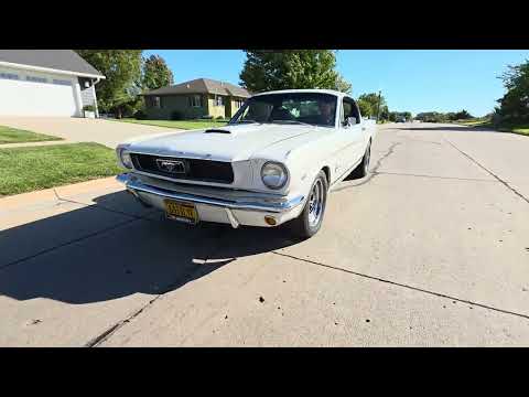 1966 Ford Mustang Fastback (CC-2118590) for sale in Waconia, Minnesota