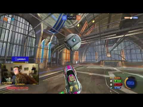 Kaydop's Cat Makes Him Win