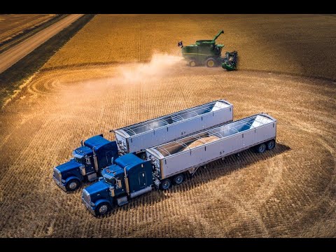 2020 Wheat Harvest