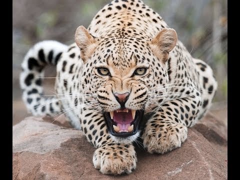 Музыка для души #11