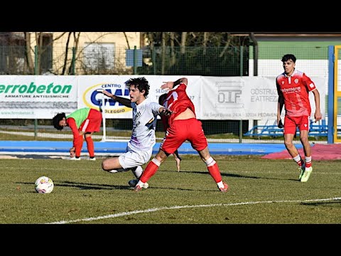Dolomiti Bellunesi-Virtus Bolzano 1-1 | 21^ giornata | Serie D - Girone C 2022-2023