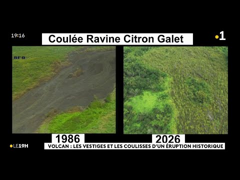 The 1986 lava flow outside the enclosure transformed the Pointe de la Table and the Citron Galets...